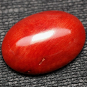9.84 ct Orange Coral Gemstone, Coral Gem in Oval Cabochon Shape for Sale.