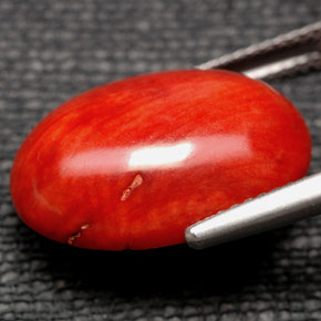 Coral Gemstone in 18 x 13 mm (calibrated) Size for Sale, Coral Stone in Orange Color