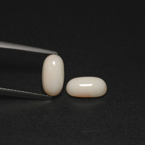 3.05 ct White Coral Stone, Natural Coral in Oval Cabochon Shape for Sale
