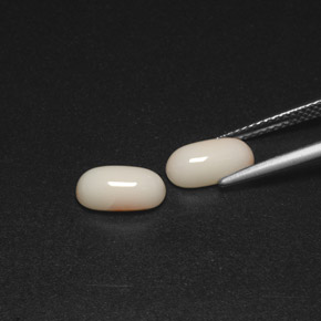 Coral Gemstone in 9.5 x 4.9 mm Size for Sale, Coral Stone in Salmon White Color