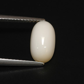 2.81 ct White Coral Stone, Natural Coral in Oval Cabochon Shape for Sale