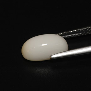 Coral Gemstone in 11.1 x 6.3 mm Size for Sale, Coral Stone in White Color