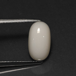 2.78 ct White Coral Stone, Natural Coral in Oval Cabochon Shape for Sale