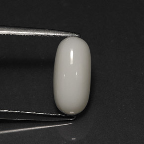 2.73 ct White Coral Stone, Natural Coral in Oval Cabochon Shape for Sale