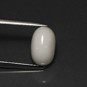 2.67 ct White Coral Stone, Natural Coral in Oval Cabochon Shape for Sale