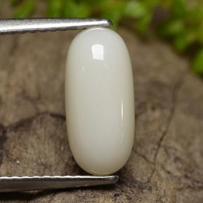 マルチカラーホワイト サンゴ 宝石 - 2.5ct オーバル カボション (ID: 200678)