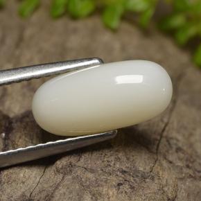 2.50 ct White Coral Stone, Natural Coral in Oval Cabochon Shape for Sale
