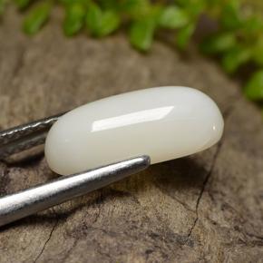 Coral Gemstone in 12.1 x 5.6 mm Size for Sale, Coral Stone in Multicolor White Color