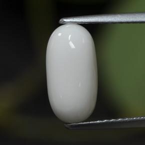 2.63 ct White Coral Gemstone, Coral Gem in Oval Cabochon Shape for Sale.