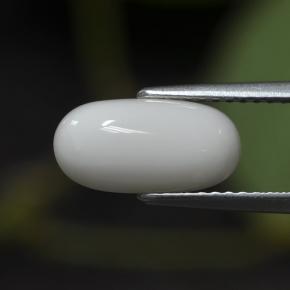 2.63 ct White Coral Stone, Natural Coral in Oval Cabochon Shape for Sale