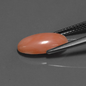 Coral Gemstone in 13.4 x 7.1 mm Size for Sale, Coral Stone in White Salmon Color