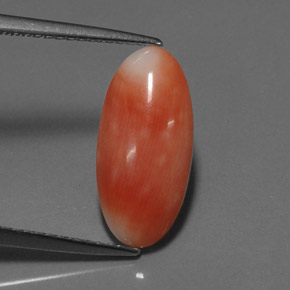 2.55 ct Pink Coral Stone, Natural Coral in Oval Cabochon Shape for Sale