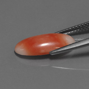 Coral Gemstone in 15.4 x 7.3 mm Size for Sale, Coral Stone in White Salmon Color