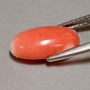 Coral Gemstone in 13 x 7.7 mm Size for Sale, Coral Stone in White Salmon Color