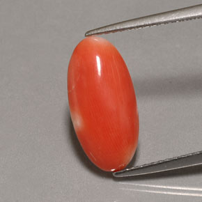 2.62 ct Pink Coral Stone, Natural Coral in Oval Cabochon Shape for Sale