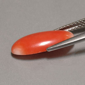 Coral Gemstone in 15.3 x 7.5 mm Size for Sale, Coral Stone in White Salmon Color