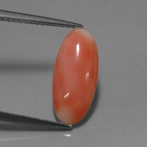 2.03 ct Pink Coral Gemstone, Coral Gem in Oval Cabochon Shape for Sale.