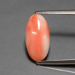 2.00 ct Pink Coral Stone, Natural Coral in Oval Cabochon Shape for Sale