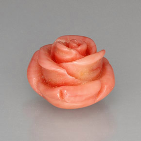 Coral Gemstone in 18.4 x 17 mm Size for Sale, Coral Stone in Salmon Color