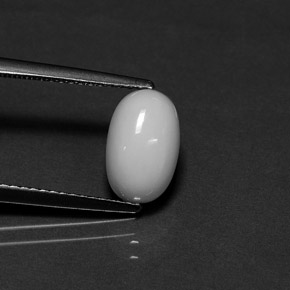 2.29 ct White Coral Gemstone, Coral Gem in Oval Cabochon Shape for Sale.