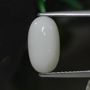 2.30 ct White Coral Gemstone, Coral Gem in Oval Cabochon Shape for Sale.