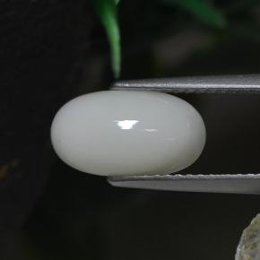 2.30 ct White Coral Stone, Natural Coral in Oval Cabochon Shape for Sale