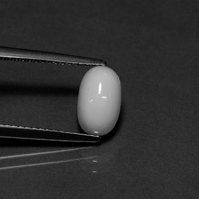 1.70 ct White Coral Gemstone, Coral Gem in Oval Cabochon Shape for Sale.