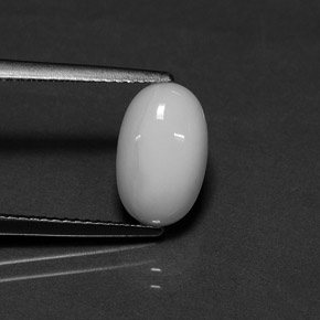 2.54 ct White Coral Gemstone, Coral Gem in Oval Cabochon Shape for Sale.