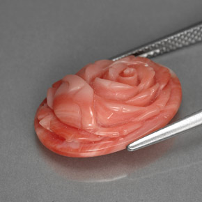 Coral Gemstone in 17.9 x 13 mm Size for Sale, Coral Stone in Salmon Color