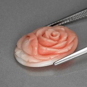 Coral Gemstone in 17.8 x 12.7 mm Size for Sale, Coral Stone in Salmon Color
