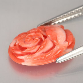 Coral Gemstone in 13.1 x 9.7 mm Size for Sale, Coral Stone in Salmon Color