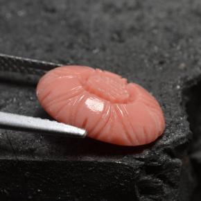 Coral Gemstone in 13.7 x 9.7 mm Size for Sale, Coral Stone in Salmon Color