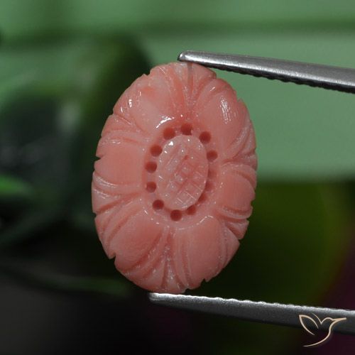 3.19 ct Pink Coral, 13.7 x 9.7 mm Carved From Australia, Photo A
