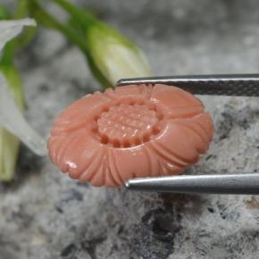 Coral Gemstone in 13.8 x 9.8 mm Size for Sale, Coral Stone in Orangish Pink Color