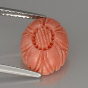 Coral Gemstone in 13.8 x 9.9 mm Size for Sale, Coral Stone in Salmon Color