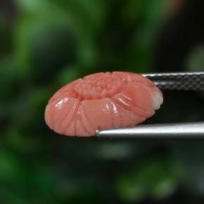 Coral Gemstone in 13.2 x 9.6 mm Size for Sale, Coral Stone in Reddish Pink Tone Color