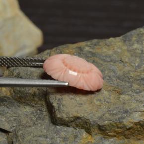 Coral Gemstone in 13.6 x 9.8 mm Size for Sale, Coral Stone in White Salmon Color