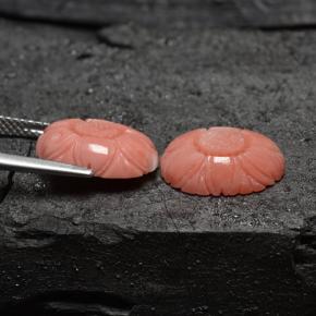 Coral Gemstones in 13.7 x 9.7 mm Size for Sale, Coral Stones in Salmon Color