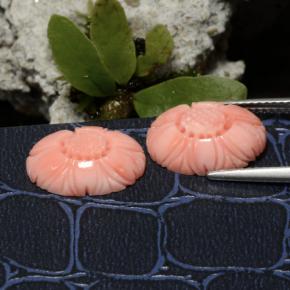 Coral Gemstones in 13.6 x 9.7 mm Size for Sale, Coral Stones in Medium Pink Color