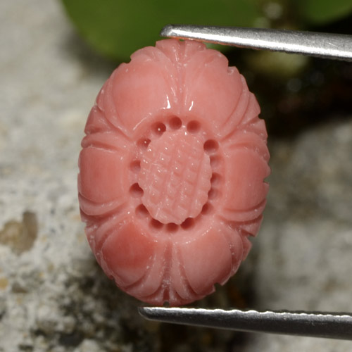 3.7ct Carved Flower Salmon Coral Gem for sale 3.7ct Carved Flower Salmon Coral Gem (ID: 255949)