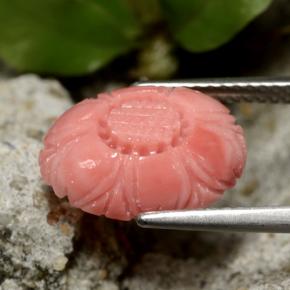 Coral Gemstone in 13.6 x 9.8 mm Size for Sale, Coral Stone in Medium-Light Red Color