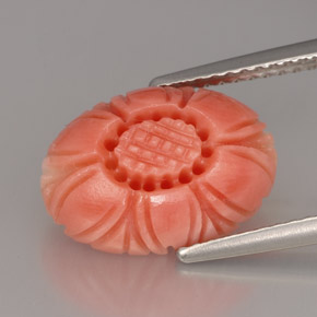 Coral Gemstone in 13.6 x 9.7 mm Size for Sale, Coral Stone in Salmon Color