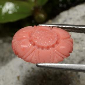 Coral Gemstone in 13.3 x 9.6 mm Size for Sale, Coral Stone in Deep Blush Red Color