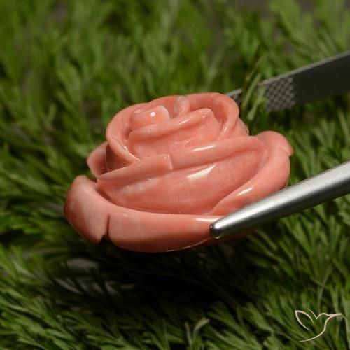 Coral Gemstone in 21.4 x 20.7 mm Size for Sale, Coral Stone in Medium Pink Color
