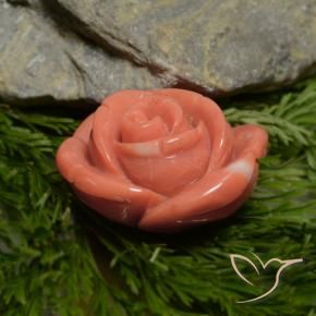 Coral Gemstone in 18.1 x 16.9 mm Size for Sale, Coral Stone in Deep Salmon Pink Color