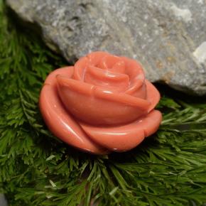Coral Gemstone in 17.6 x 16.8 mm Size for Sale, Coral Stone in Medium Pink Color