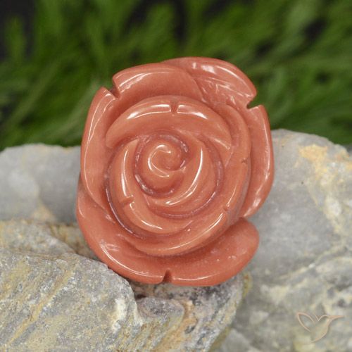 14.58 ct Pink Coral, 16.4 x 14.1 mm Carved From Australia, Photo A
