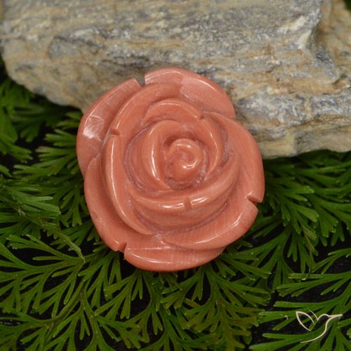 15.54 ct Pink Coral, 16 x 14.5 mm Carved From Australia, Photo A
