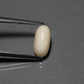 2.21 ct Cream Coral Gemstone, Coral Gem in Oval Cabochon Shape for Sale.