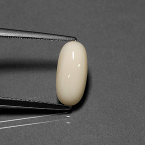 2.41 ct White Coral Gemstone, Coral Gem in Oval Cabochon Shape for Sale.